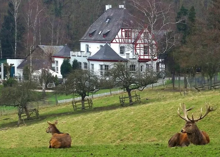 In Am Rhein アパート ラーンシュタイン
